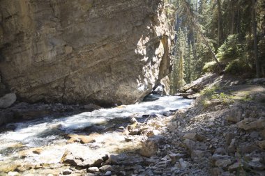 Alberta, Kanada 'daki Banff Ulusal Parkı' ndaki Johnston Kanyonu 'nun güzel manzarası