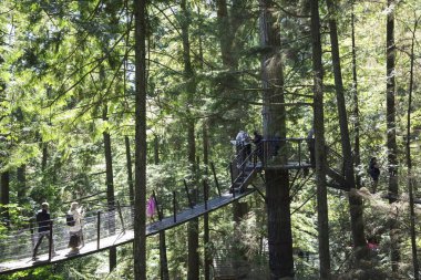 Vancouver, Kanada 'daki Capilano Köprü Parkı' nın güzel manzarası
