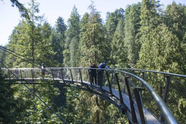 Vancouver, Kanada 'daki Capilano Köprü Parkı' nın güzel manzarası