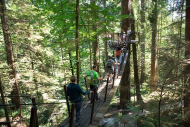 Vancouver, Kanada 'daki Capilano Köprü Parkı' nın güzel manzarası