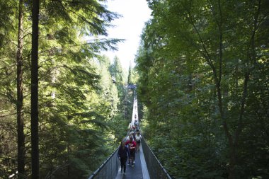 Vancouver, Kanada 'daki Capilano Köprü Parkı' nın güzel manzarası