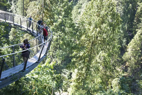 Hermosa Vista Capilano Suspension Bridge Park Vancouver Canadá — Foto de Stock
