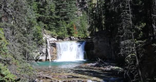 カナダのアルバータ州バンフ国立公園のジョンストンキャニオンの美しい景色 — ストック動画