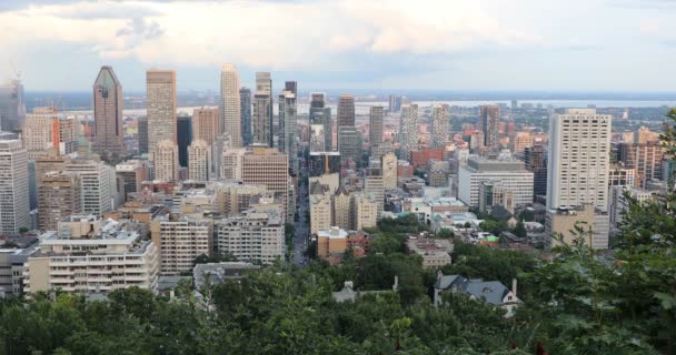 Montreal Kanada Nın Güzel Manzarası — Stok video