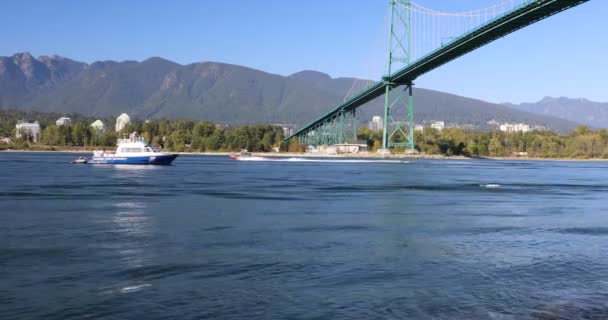 Чудовий Краєвид Міст Левів Ванкувері Канада — стокове відео