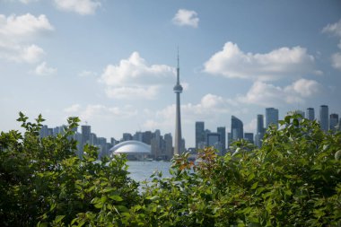 Kanada Toronto 'daki Rogers Center ve CN Tower' ın güzel manzarası