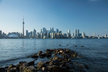 Kanada Toronto 'daki Rogers Center ve CN Tower' ın güzel manzarası