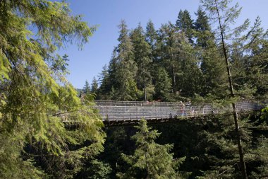 Vancouver, Kanada 'daki Capilano Askı Köprüsü Parkı' nın güzel manzarası