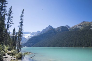 Kanada 'daki Banff Ulusal Parkı' nda Louise Gölü 'nün güzel manzarası