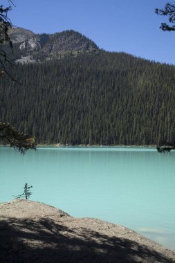 Kanada 'daki Banff Ulusal Parkı' nda Louise Gölü 'nün güzel manzarası