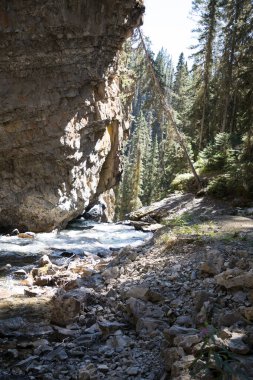 Alberta, Kanada 'daki Banff Ulusal Parkı' ndaki Johnston Kanyonu 'nun güzel manzarası