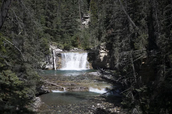 Alberta, Kanada 'daki Banff Ulusal Parkı' ndaki Johnston Kanyonu 'nun güzel manzarası