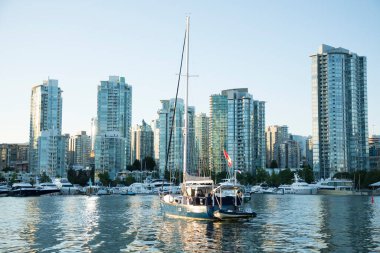 Vancouver, Kanada 'daki Vancouver Körfezi' nin güzel manzarası