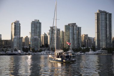 Vancouver, Kanada 'daki Vancouver Körfezi' nin güzel manzarası