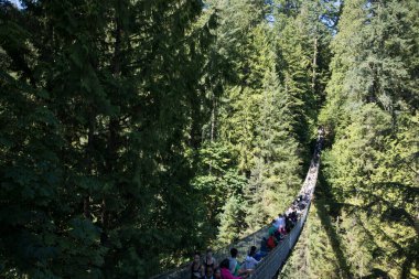 Vancouver, Kanada 'daki Capilano Askı Köprüsü Parkı' nın güzel manzarası