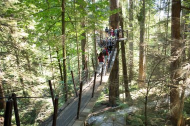 Vancouver, Kanada 'daki Capilano Askı Köprüsü Parkı' nın güzel manzarası