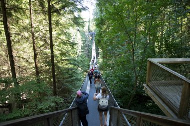 Vancouver, Kanada 'daki Capilano Askı Köprüsü Parkı' nın güzel manzarası