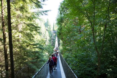 Vancouver, Kanada 'daki Capilano Askı Köprüsü Parkı' nın güzel manzarası
