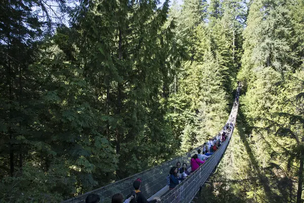 Vancouver, Kanada 'daki Capilano Askı Köprüsü Parkı' nın güzel manzarası