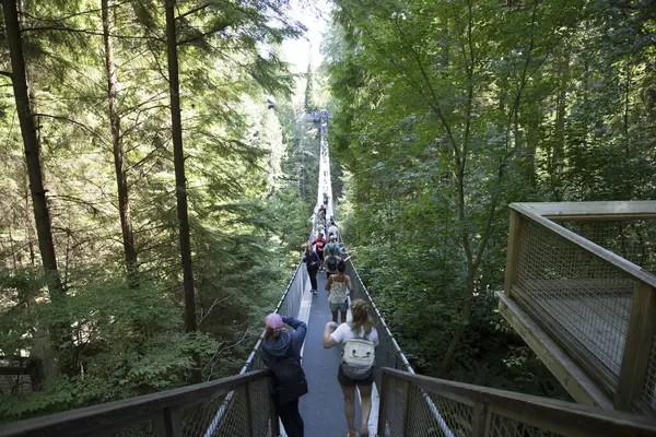 Vancouver, Kanada 'daki Capilano Askı Köprüsü Parkı' nın güzel manzarası