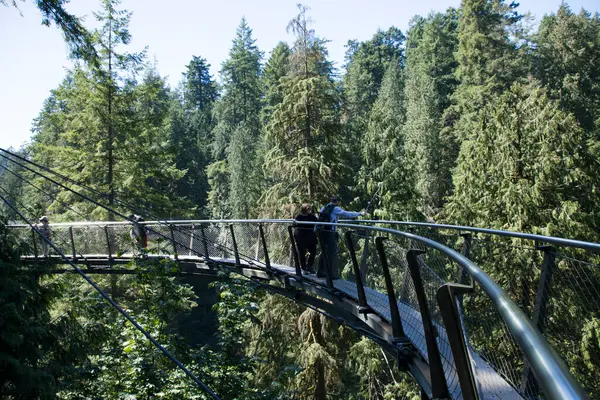 Vancouver, Kanada 'daki Capilano Askı Köprüsü Parkı' nın güzel manzarası