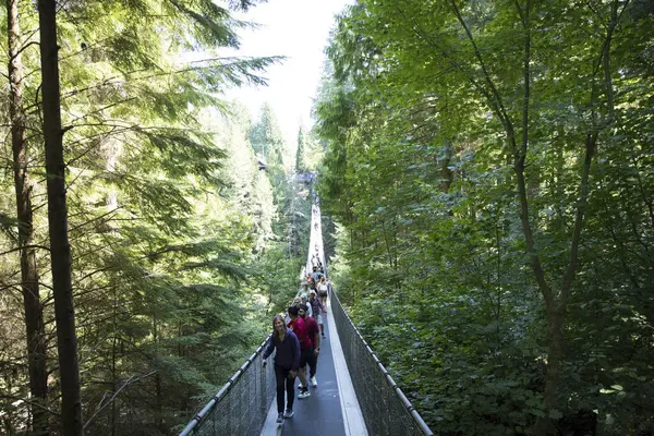 Vancouver, Kanada 'daki Capilano Askı Köprüsü Parkı' nın güzel manzarası