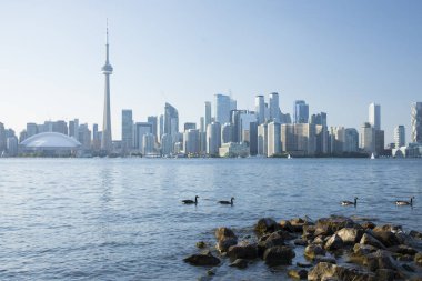Kanada Toronto 'daki Rogers Center ve CN Tower' ın güzel manzarası