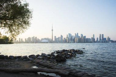 Kanada Toronto 'daki Rogers Center ve CN Tower' ın güzel manzarası