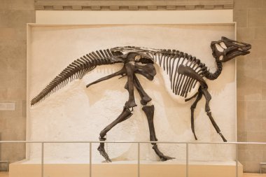 Toronto, Kanada 'daki Kraliyet Müzesi' nin güzel bir manzarası var.