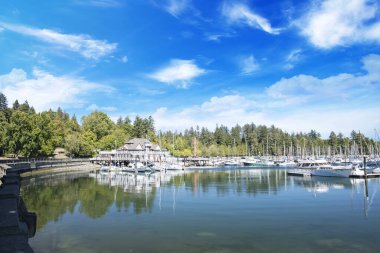 Vancouver, Kanada 'daki Vancouver Körfezi' nin güzel manzarası