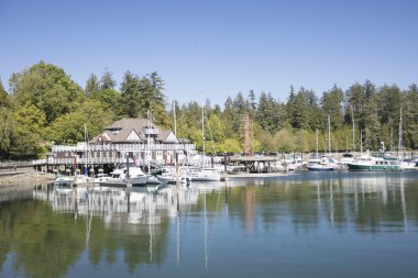 Vancouver, Kanada 'daki Vancouver Körfezi' nin güzel manzarası