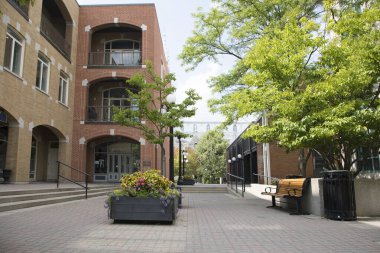 Ottawa, Kanada 'nın merkezindeki güzel cadde manzarası