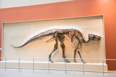 Toronto, Kanada 'daki Kraliyet Müzesi' nin güzel bir manzarası var.