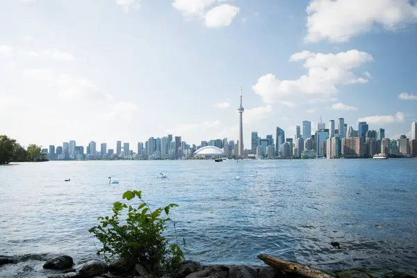 Kanada Toronto 'daki Rogers Center ve CN Tower' ın güzel manzarası