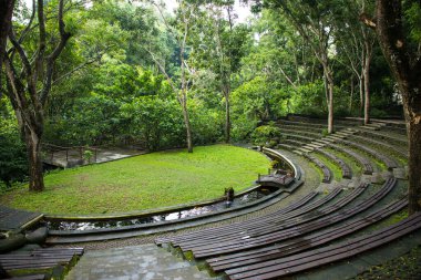 Endonezya, Bali 'deki Maymun Ormanı' nda güzel bir yer.