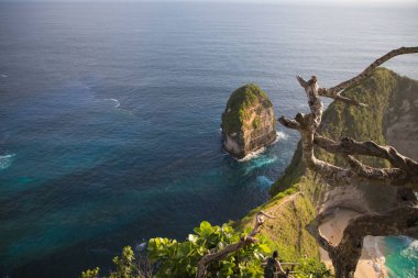 Endonezya 'nın Nusa Penida adasındaki Kelingking Sahili' nin güzel manzarası