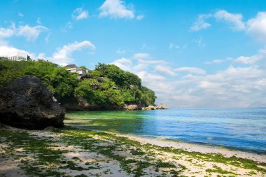Endonezya 'nın Bali Adası' ndaki Padang Padang plajının güzel manzarası
