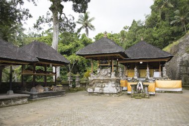 Endonezya 'nın Bali Adası' ndaki Goa Gajah manzarası çok güzel.