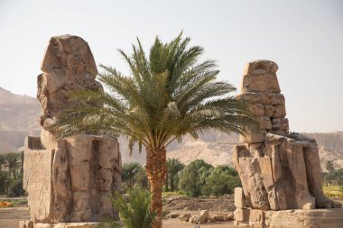 Eski Mısır, Lüksemburg 'daki Memnon Colossi' nin güzel manzarası