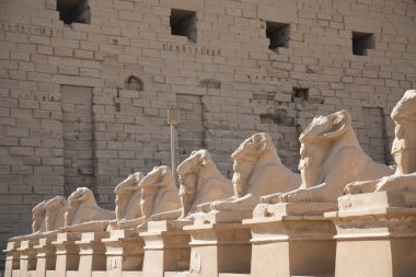Mısır 'ın Luxor kentindeki Antik Karnak Tapınağı' nda koç heykellerinin güzel manzarası