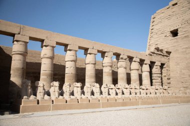 Mısır 'ın Luxor kentindeki Antik Karnak Tapınağı' nda koç heykellerinin güzel manzarası