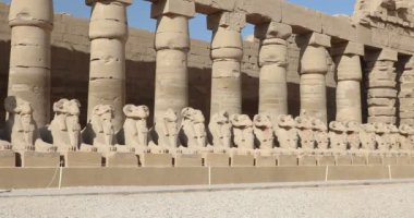 Mısır 'ın Luxor kentindeki Antik Karnak Tapınağı' nda koç heykellerinin güzel manzarası
