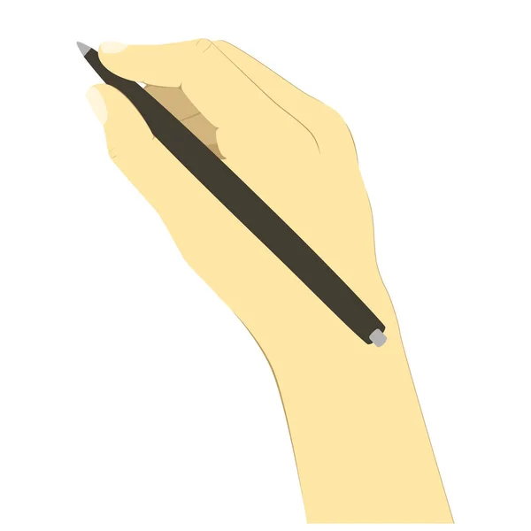Hand Holding Pen Pencil Vector Graphics — Stock Vector