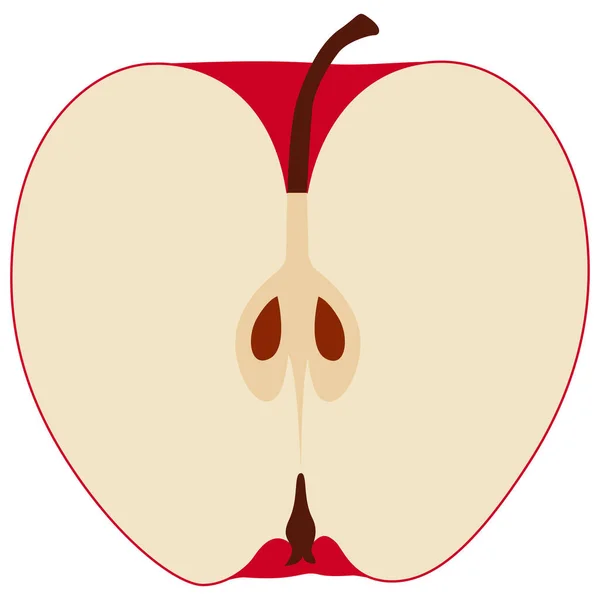 Jabłko Przecięte Pół Grafice Wektorowej — Wektor stockowy