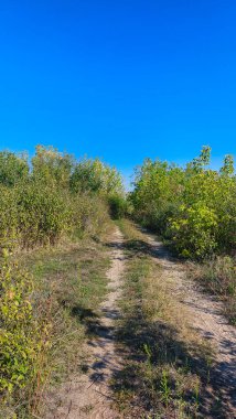 Kırsal bir yol. Mavi gökyüzünün arka planında yeşil çalılar ve ağaçlar var.