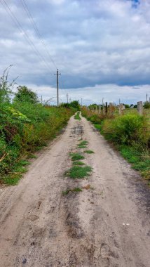 Bir sebze bahçesi ile mavi bir gökyüzünün arka planında çalılıklar arasında kırsal bir toprak yol.