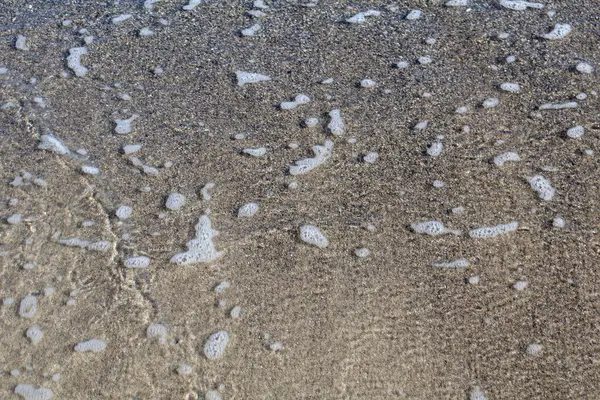 Sandy Shore 'da Deniz Köpüğü ve Baloncuklar