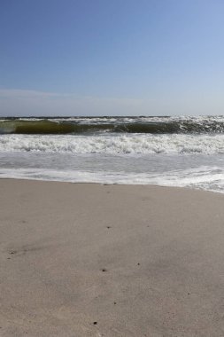 Quiet Ocean Shoreline with Gentle Waves and Sandy Beach clipart