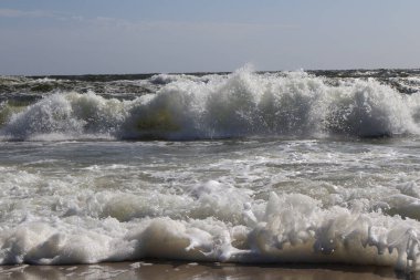 Powerful Ocean Wave Crashing onto the Shoreline with Foamy Surf clipart