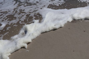 Sandy Beach Shoreline 'da Deniz Köpüğünün Yakın Çekimi